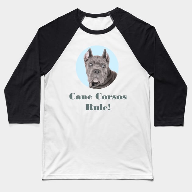 Cane Corsos Rule! Baseball T-Shirt by Naves